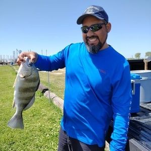 Meet your Posher, Josey